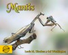 Mantis