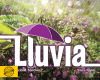 Lluvia