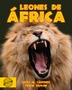 Leones de África