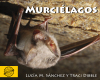 Murciélagos