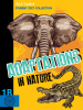 Adaptations In Nature (Secondary TK)