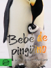 Bebé de pingüino