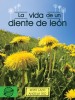 vida de un diente de león, La