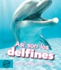 Así son los delfines