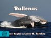 Ballenas