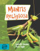 Mantis Religiosa