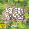 Así son sus casas: Insectos y arañas