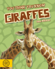 You Think You Know Giraffes