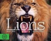 Lions