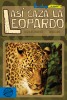 Así caza la leopardo