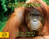 Orangután (Spanish)