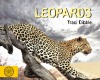 Leopards