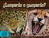 ¿Leopardo o guepardo?