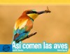 Así comen las aves