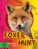 Foxes Hunt