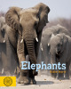 Elephants