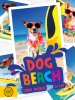 Dog Beach