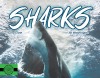 Sharks