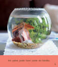 Sample 5