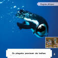 Sample 5