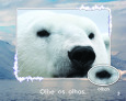Sample 3