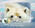 Sample 4