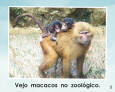 Sample 3