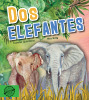 Dos elefantes