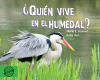 ¿Quién vive en el humedal?