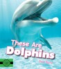 These Are Dolphins