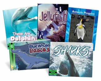Sea Animals (Blends and Digraphs)