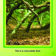 Sample 5