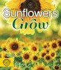 Sunflowers Grow
