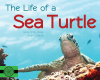 The Life of a Sea Turtle