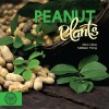 Peanut Plants