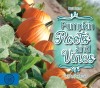 Pumpkin Roots and Vines