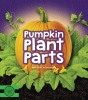 Pumpkin Plant Parts