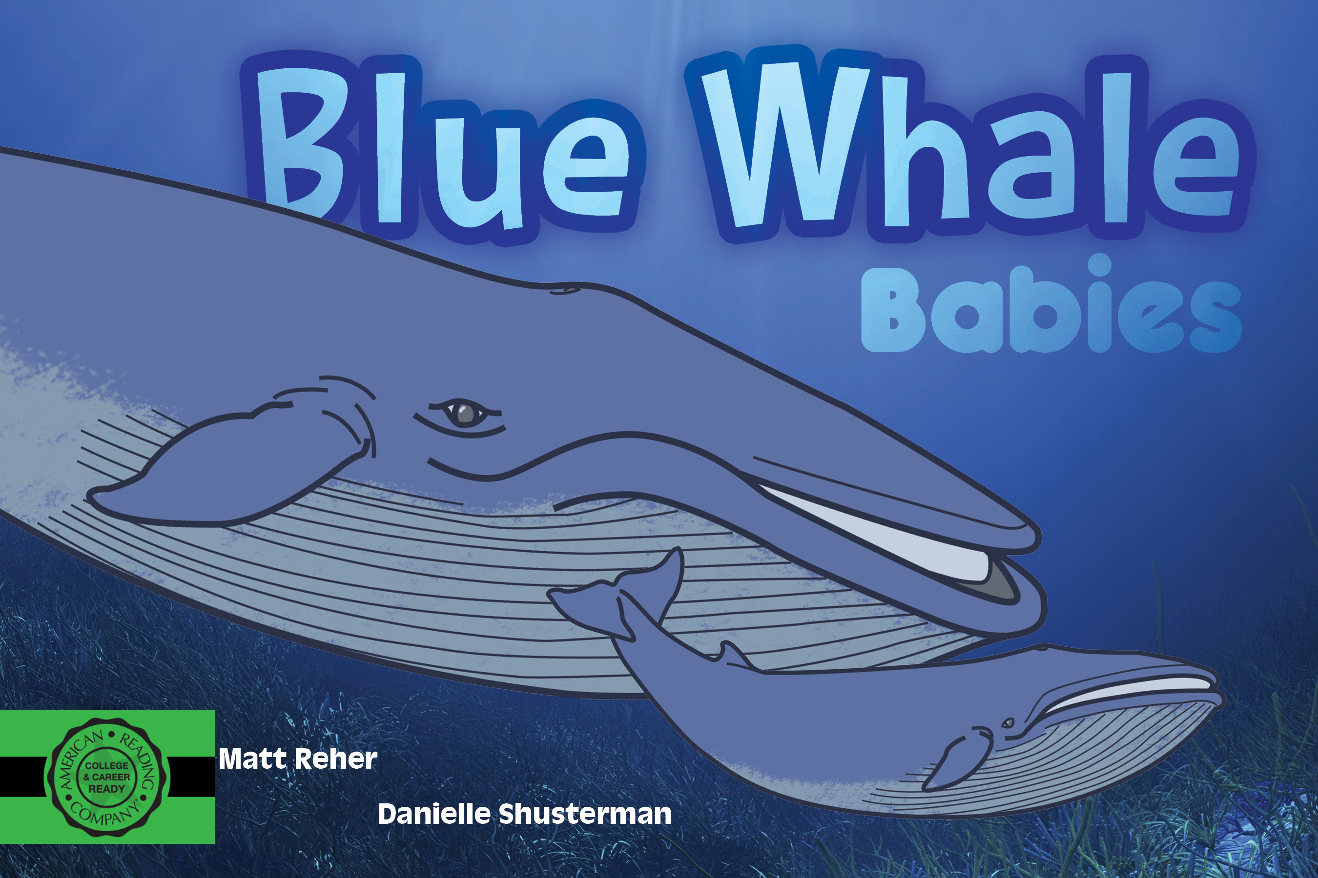 Blue Whale Babies by Matt Reher (9781634373500)