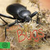Desert Bugs