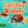Ladybug Babies