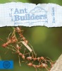 Ant Builders