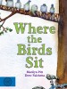 Where the Birds Sit