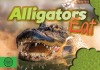 Alligators Eat
