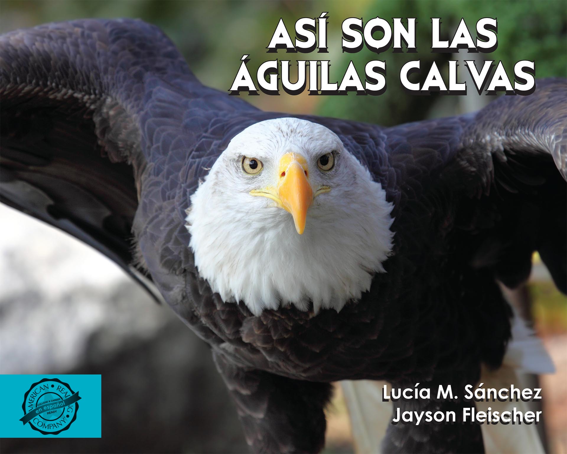 Así son las Águilas Calvas by Lucía M. Sánchez, Jayson Fleischer  (9781640536005)