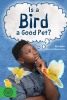Is a Bird a Good Pet?
