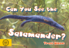Can You See the Salamander?