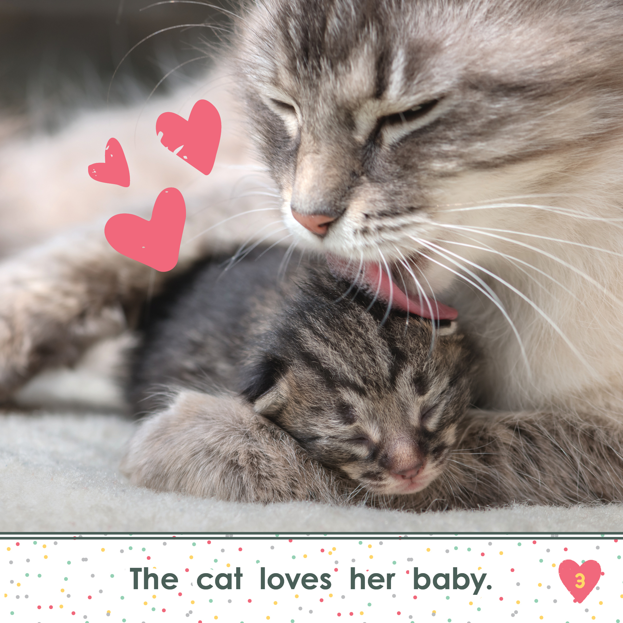 К чему снятся рождающиеся котята. Кошка с котятами. Мама кошка. Кошки для мема. Котята с мамой.