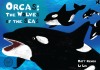 Orcas: The Wolves of the Seas