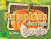 Pumpkins Come from Seeds