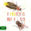 A Firefly is Not a Fly